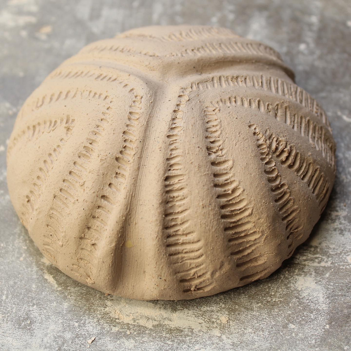 Complete Introduction to Pottery