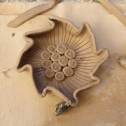 Complete Introduction to Pottery