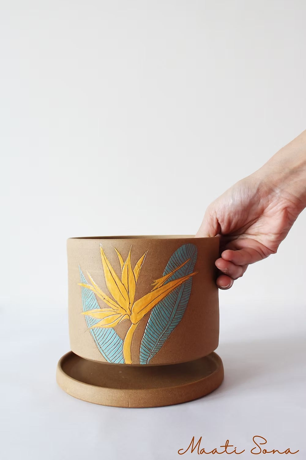 Birds of Paradise Planter