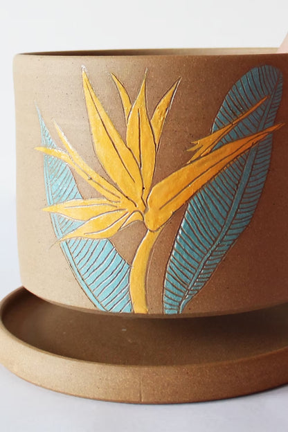 Birds of Paradise Planter